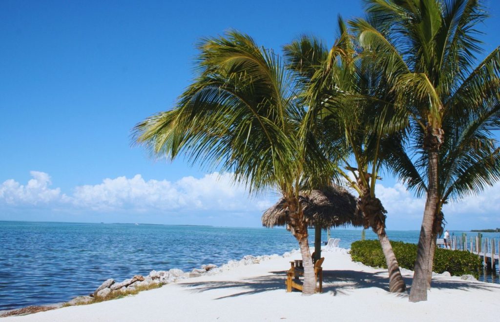 A white sand beach with palm trees overlooks the water in Florida. Keep reading for more places to take a perfect day trip from Orlando, Florida. 