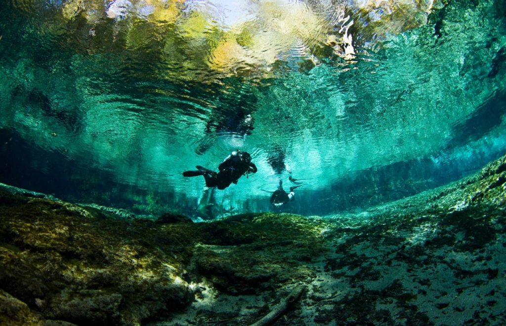 Divers explore underwater at Ginnie Springs in High Springs, Florida. Keep reading for more places to take a perfect day trip from Orlando, Florida.  