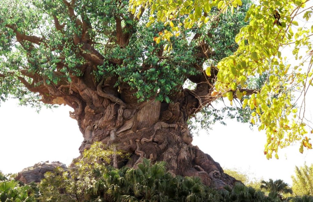 Animal Kingdom Lodge Tree of Life. Keep reading to get the full guide on the best places to go for breakfast buffet in Orlando. 