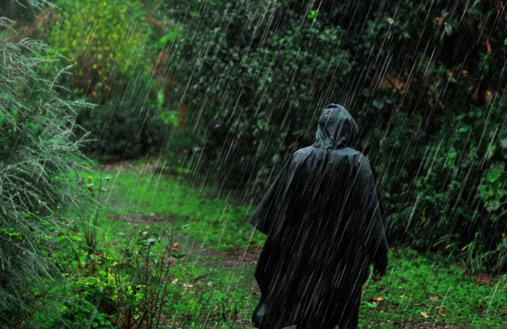 Man with a Black Rain Poncho on in the lush forest. Keep reading to get the best rain ponchos for travel.