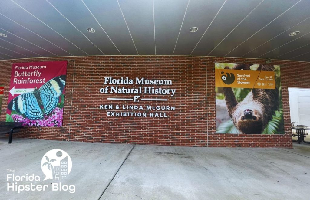 Florida Museum of Natural History Gainesville Florida Entrance one of the best museums in Gainesville, Florida.