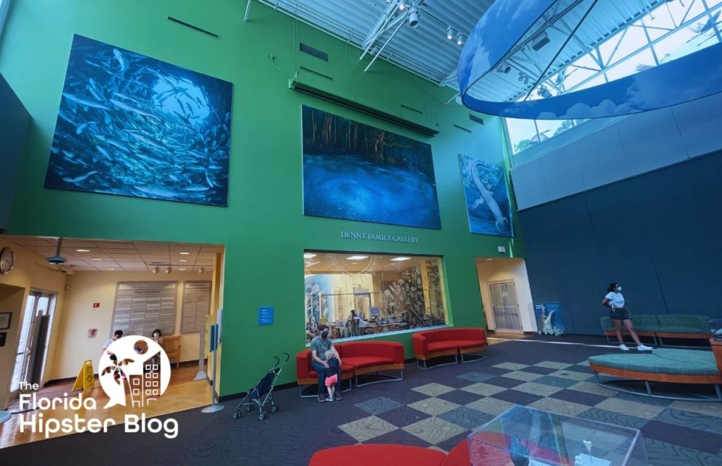 Florida Museum of Natural History Gainesville Florida Main Lobby one of the best museums in Gainesville, Florida.