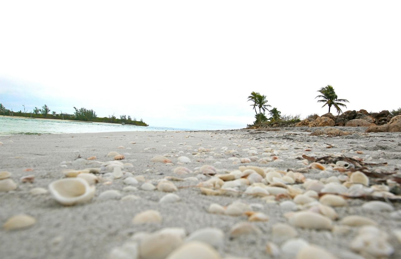 Florida Beaches in August: Discover the Hidden Gems That Tourists ...