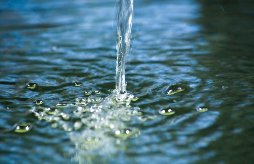 Fountain of Youth Ponce De Leon St Augustine Florida. Keep reading to find out all you need to know about the best Florida Christmas gift ideas. 