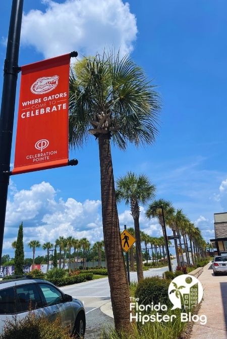 Gainesville Celebration Pointe with Palm Trees