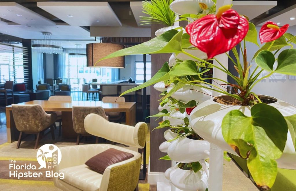 Hotel Indigo Gainesville Florida Lobby area with red flowers. Keep reading to find out more about Hotel Indigo Gainesville.