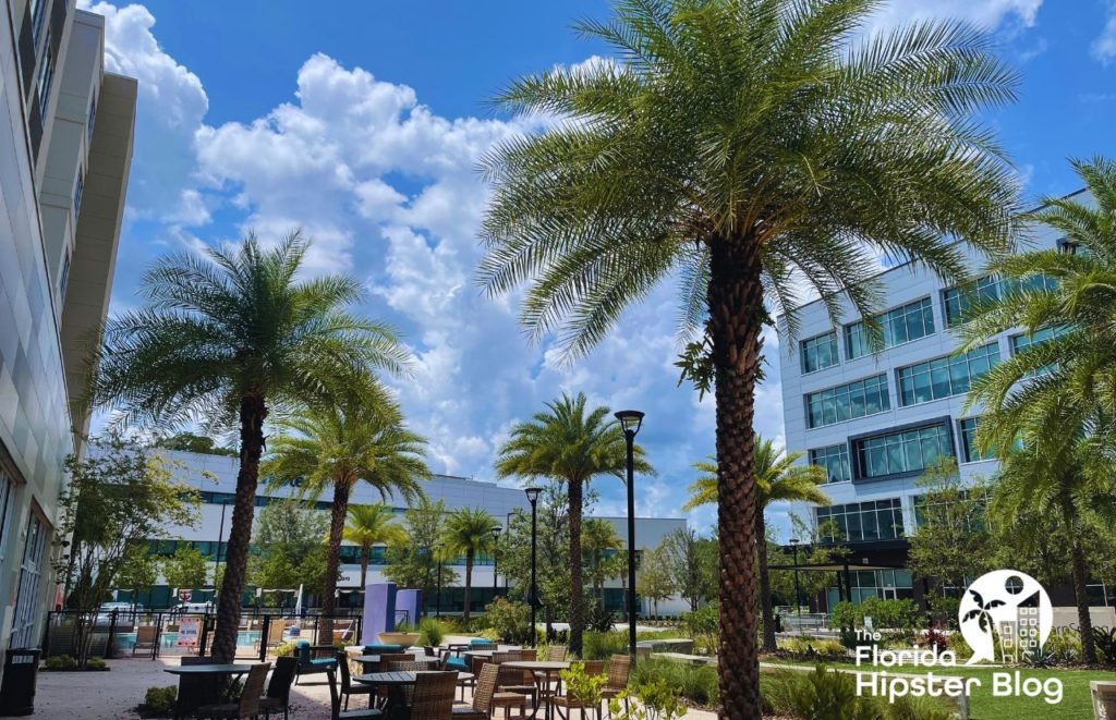 Hotel Indigo Gainesville Florida Outdoor seating area and tall palms. Keep reading to discover more about Indigo Hotel Gainesville. 