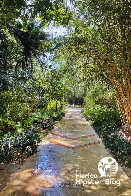 Kanapaha Botanical Gardens Gainesville Florida shaded walkway. Keep reading to get the best trails and nature parks in Gainesville, Florida.