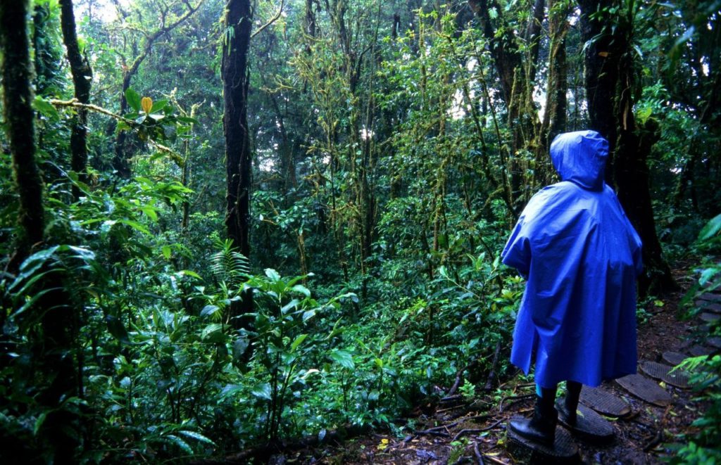 Person in forest with blue rain poncho. One of the best rain ponchos for travel.