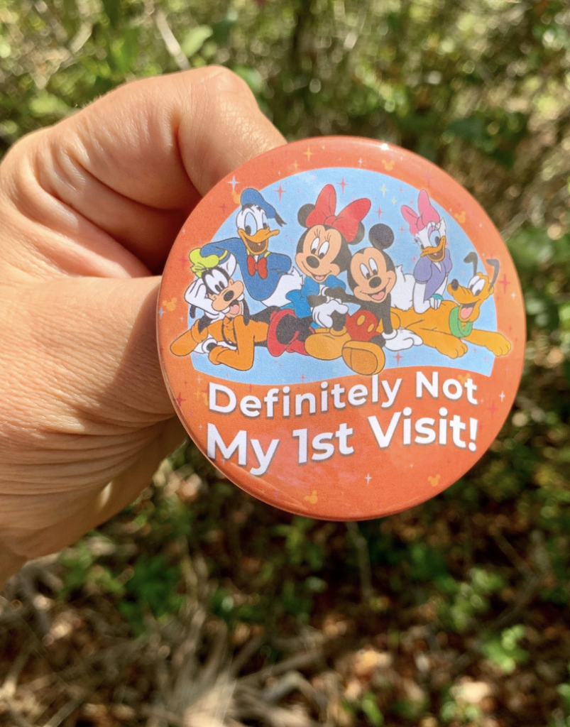 Special Pin Button from Disney World on Etsy. One of the best souvenirs from Florida.