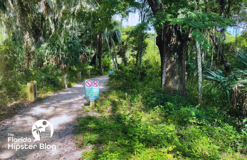 Sweetwater Wetlands Park lush pathway Gainesville Florida. Keep reading to find out the Gainesville things to do.