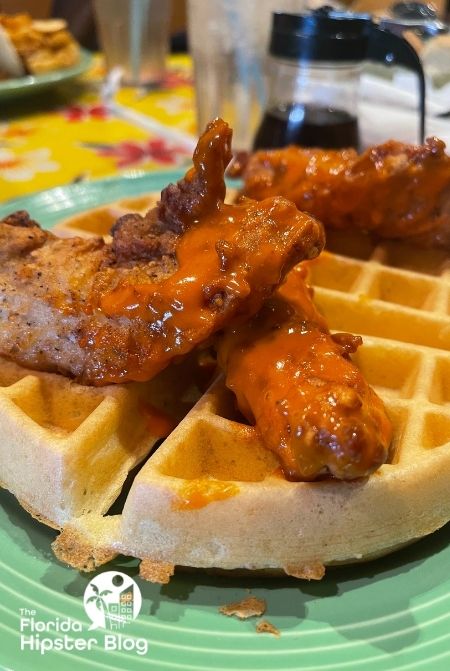 The Flying Biscuit Cafe Gainesville Florida Chicken and Waffles making it one of the best brunch  in Gainesville.