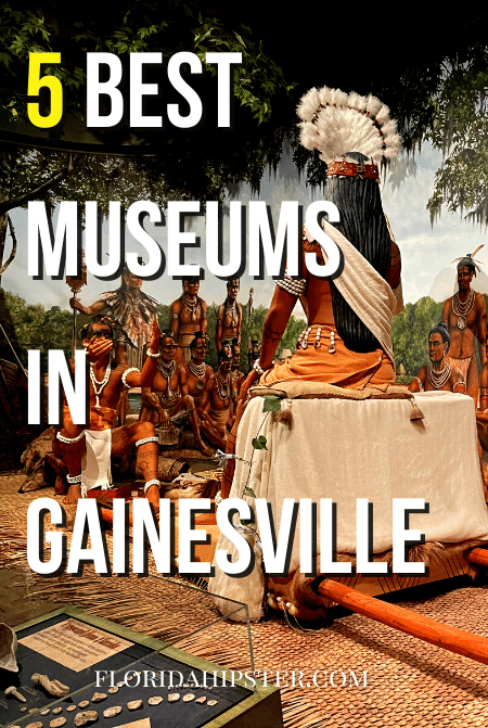 Florida Travel Guide to the 5 Best Museums in Gainesville, Florida!