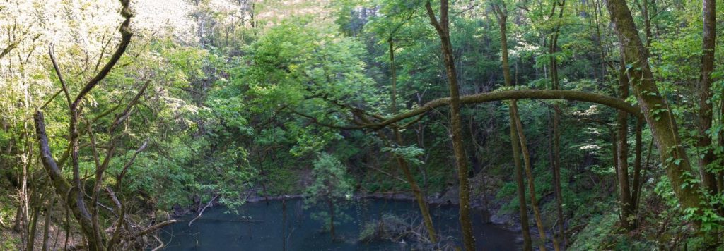 Devil’s Millhopper Sinkhole Gainesville Florida. Keep reading to discover Gainesville things to do. 