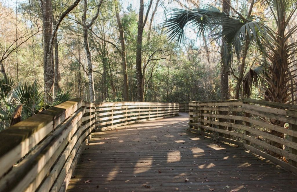 Loblolly Woods Nature Park. Keep reading to find out more about fun things to do in Gainesville that’s free.