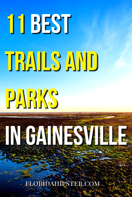 Florida Travel Guide on the best trails and Parks in Gainesville, Florida.