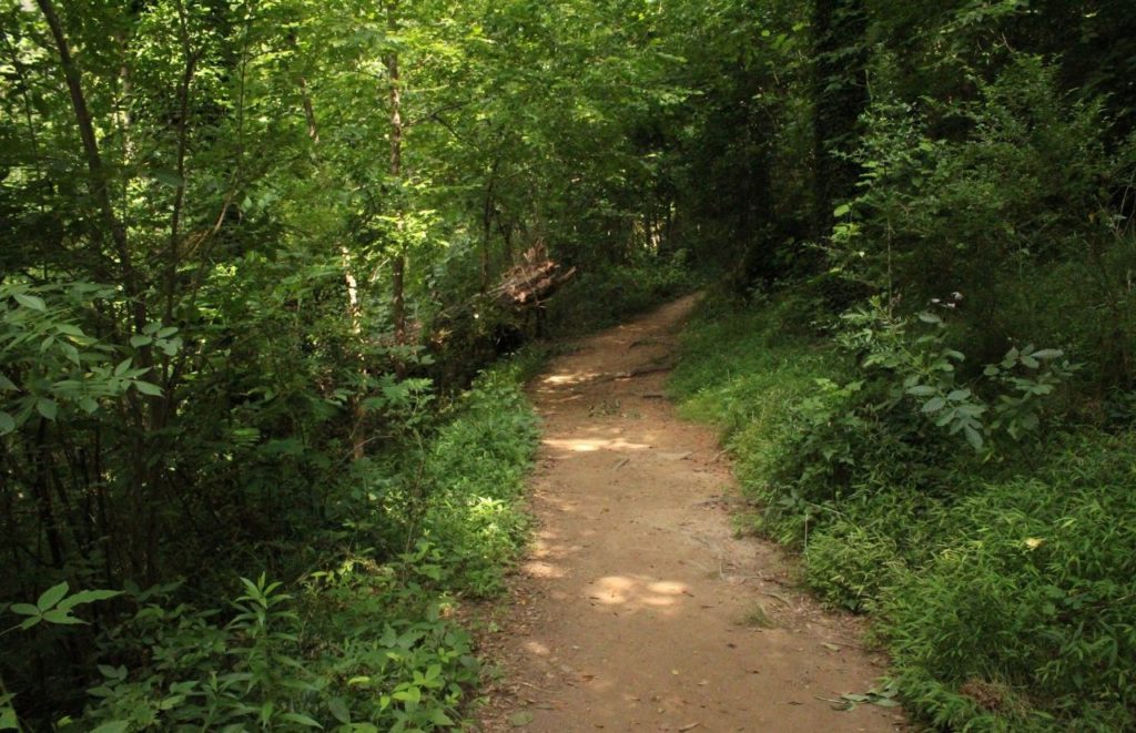 Cofrin Park Nature Trail Gainesville Florida. Keep reading to find out about free things to do in Gainesville.