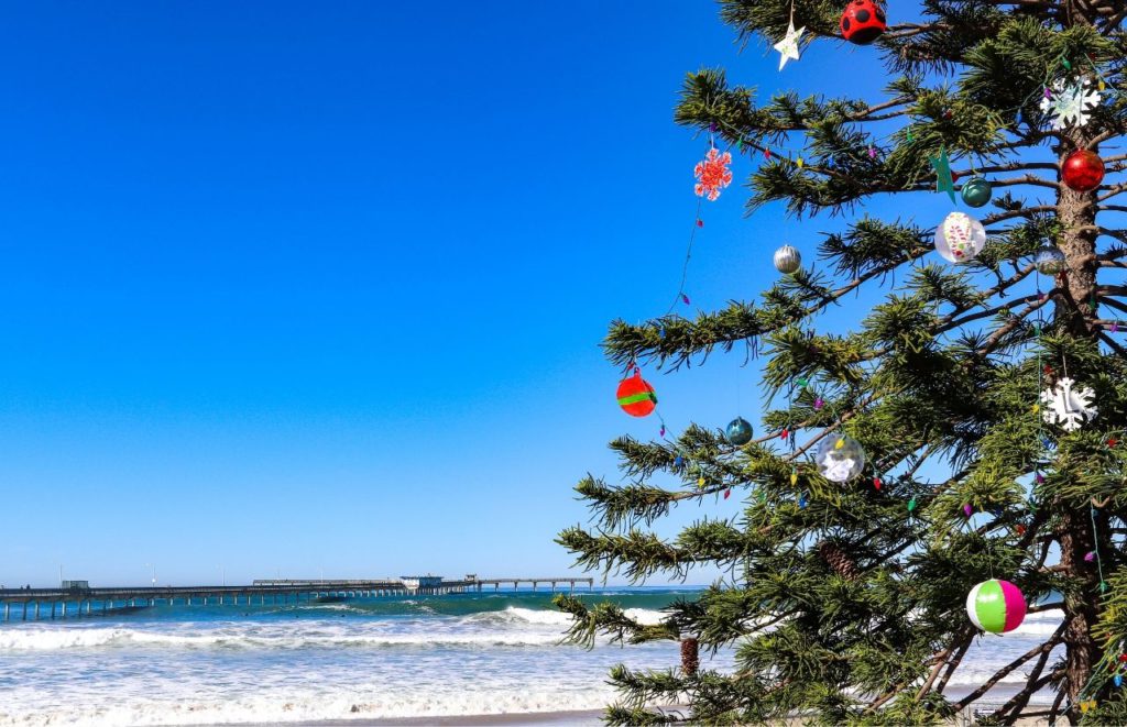 Florida Beach Christmas with tree in front of ocean