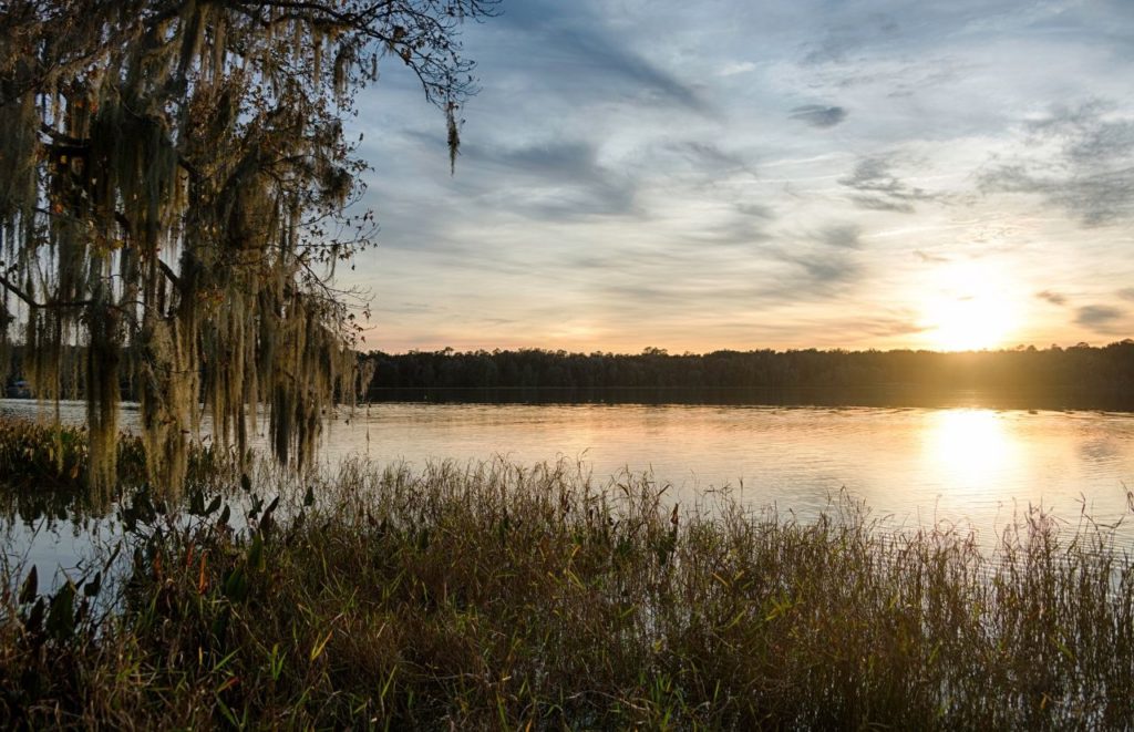 Hawthorne Trail State Trail overlooking Alachua Lake in Gainesville Florida. Keep reading to get the best trails and nature parks in Gainesville, Florida.