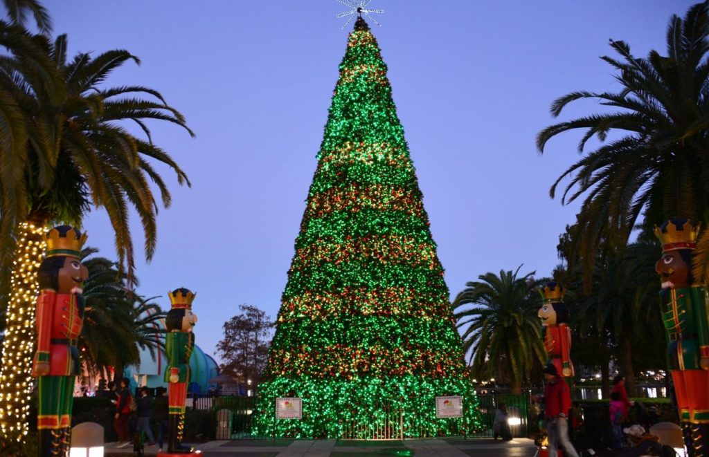 Lake Eola Christmas Tree Orlando Florida .Keep reading to learn more about Christmas in Florida. 