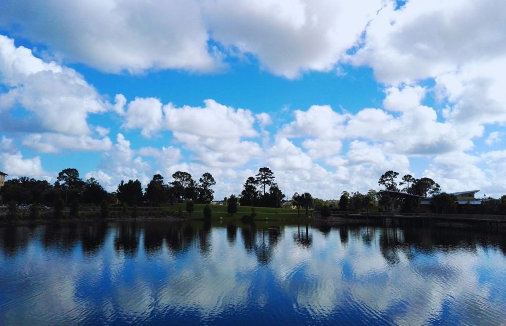 Oviedo Florida Lake View. Keep reading to find out more of the best things to do in Orlando for Christmas. 