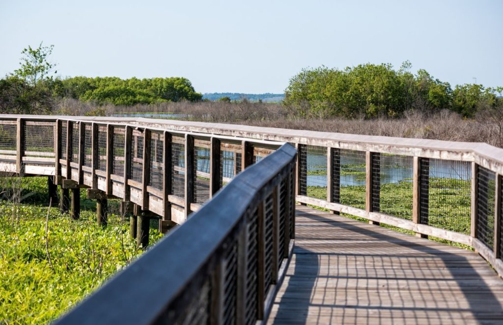 Payne’s Prairie Preserve State Park Empty Boardwalk. Keep reading to get the best trails and nature parks in Gainesville, Florida.