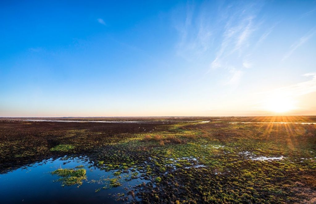 Payne’s Prairie Preserve State Park sunset over the marsh