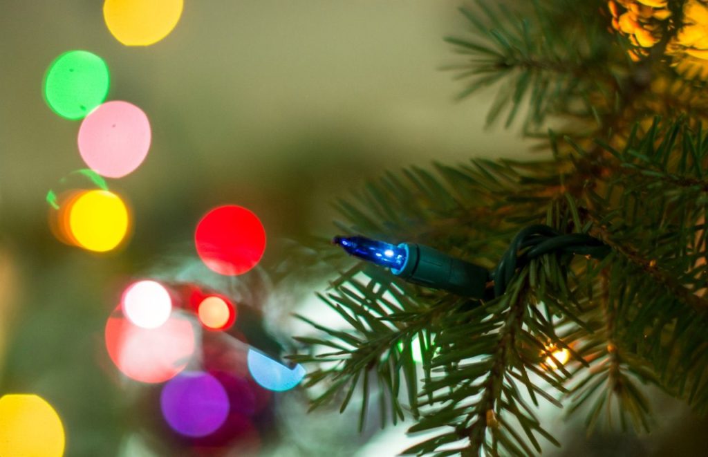 City of Tampa Santa Fest with Christmas Lights on Tree. Keep reading to learn about the best things to do in Tampa for Christmas 2023!