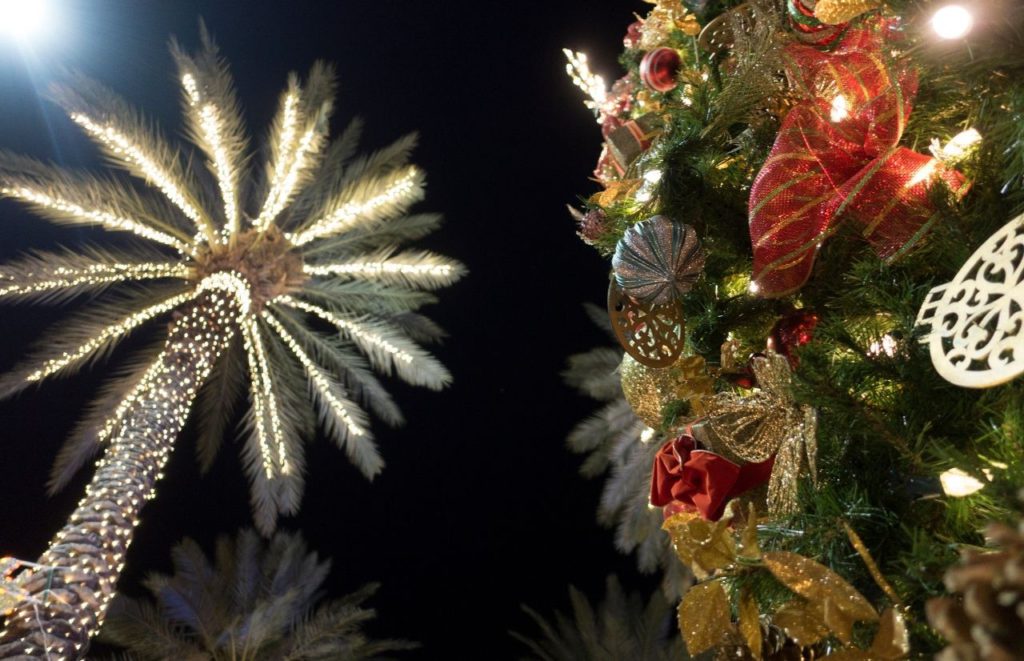 Palm tree covered in lights and Christmas tree full of festive decorations.  Keep reading to discover more St. Augustine Christmas events.
