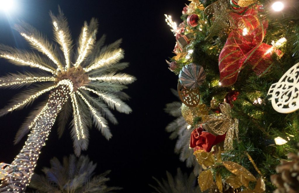 Palm tree decorated in  Christmas lights and a Christmas tree adorned in decorations. Keep reading to find out more about Tampa Christmas lights for 2023. 