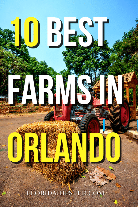 10 best Farms in Orlando