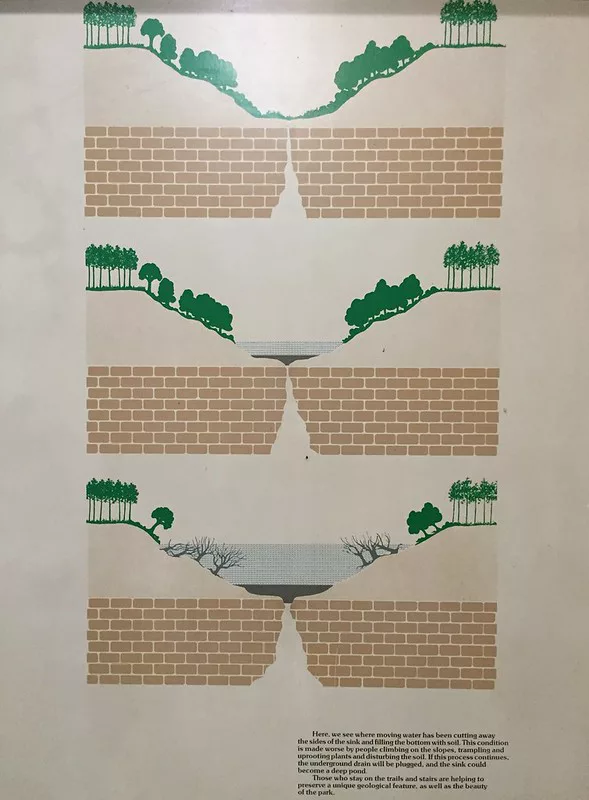 Devil's Millhopper Sinkhole Infograph. Keep reading to get the best trails and nature parks in Gainesville, Florida.