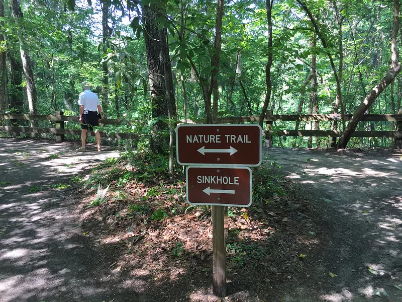 Devil's Millhopper Sinkhole in Gainesville Florida. Keep reading to get the best trails and nature parks in Gainesville, Florida.