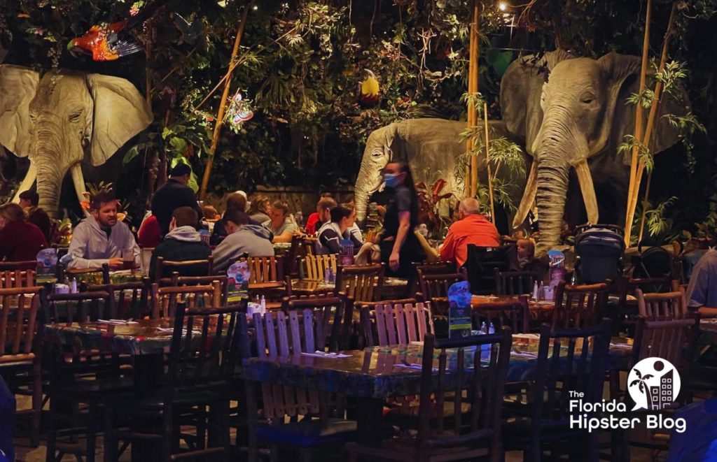 Elephants inside Rainforest Cafe Disney Springs Orlando Florida. Keep reading to find out what to do in Orlando with teenagers. 