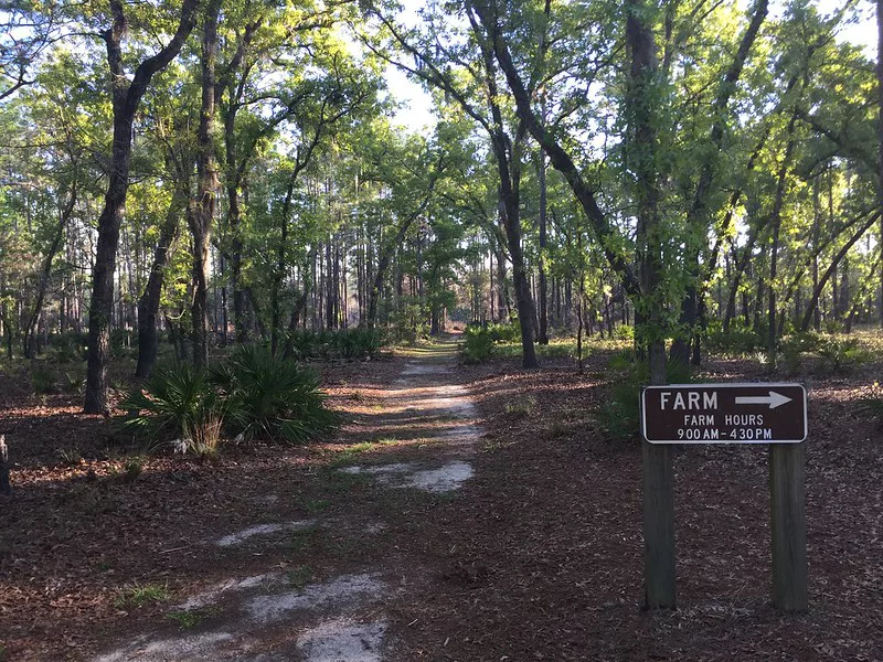 Morningside Nature Center Gainesville Florida. Keep reading to get the best trails and nature parks in Gainesville, Florida.