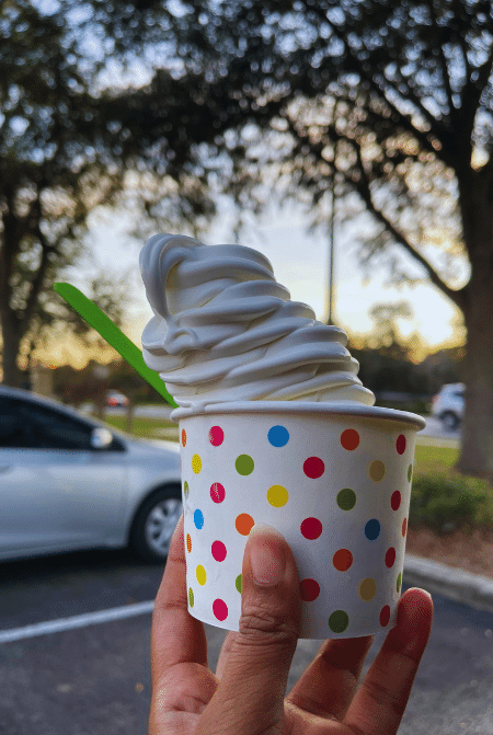 Ice cream in Florida on a hot summer day. Photo copyright Florida Hipster.