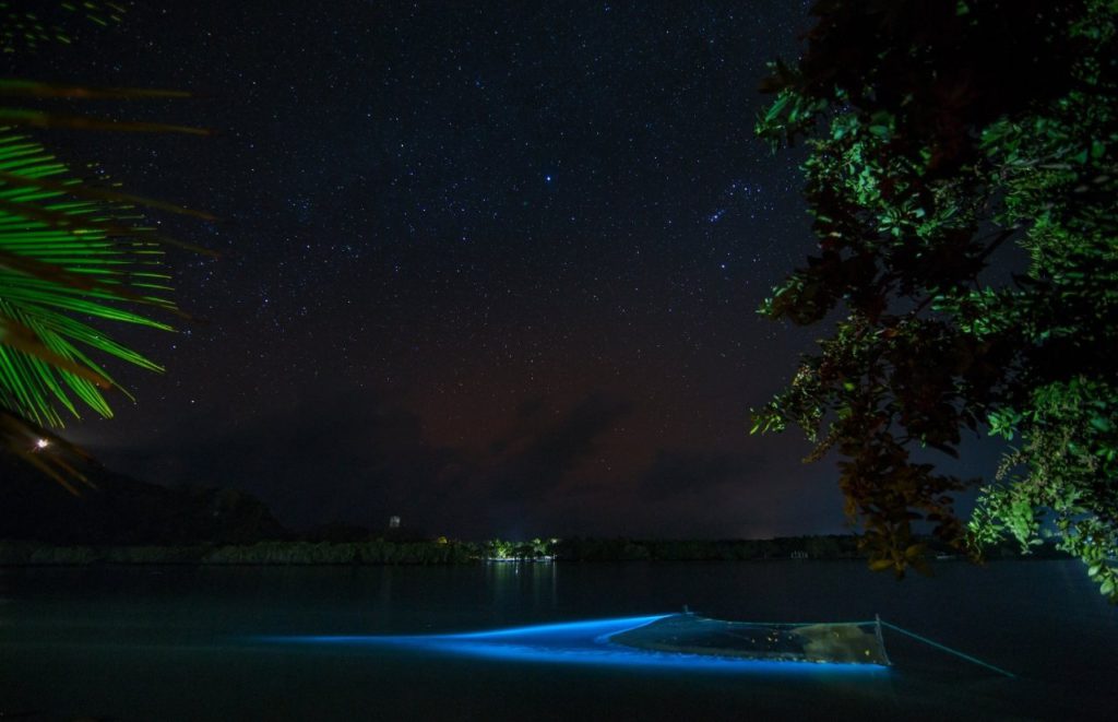 Bioluminescent Kayaking scene at night with the water glowing. Keep reading to discover all there is to know about things to do in Orlando tonight.