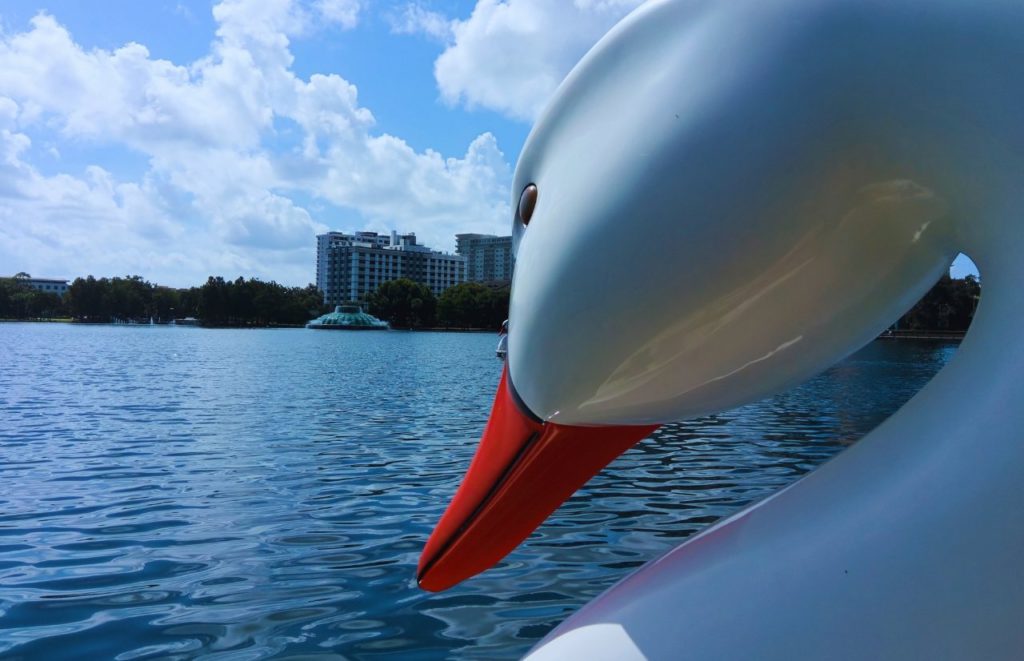 Downtown Orlando Lake Eola Swan Ride. Keep reading to find out more ideas for a couples night in Orlando.