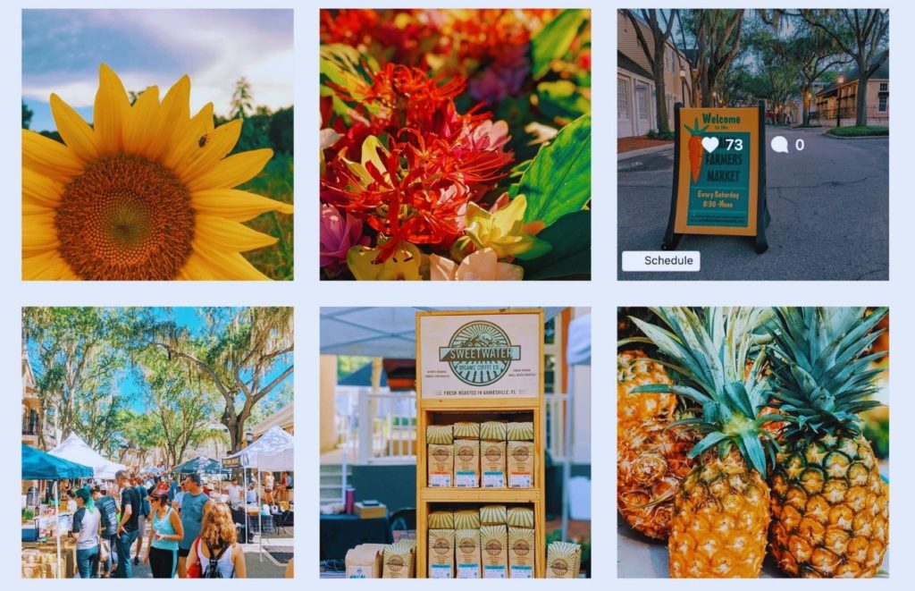 Haile Farmers Market in Gainesville Florida Instagram Page. Keep reading to find the top things to do in Gainesville.