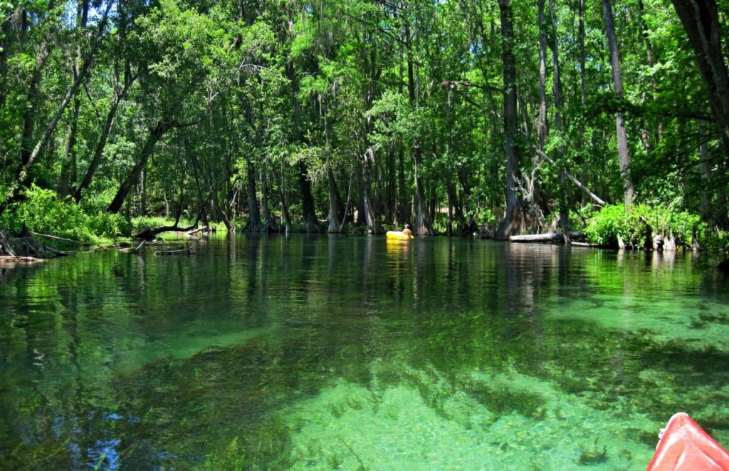 Ichetucknee Springs Florida with crystal clear waters. Keep reading to learn the best things to do in Gainesville Florida.