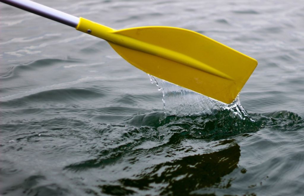 Paddle Boating at Lake Wauburg. Keep reading to learn the top things to do in Gainesville.