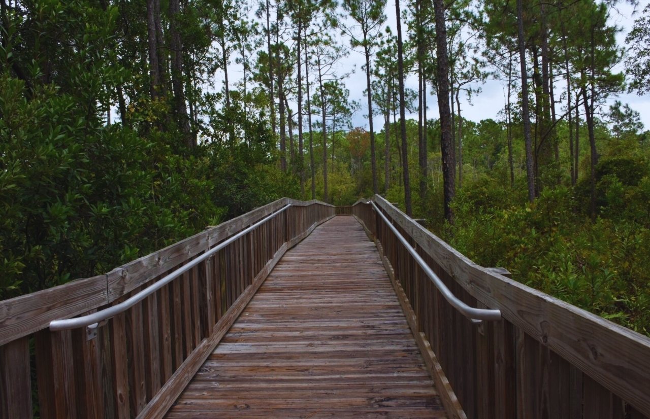 Tibet Butler Preserve Boardwalk