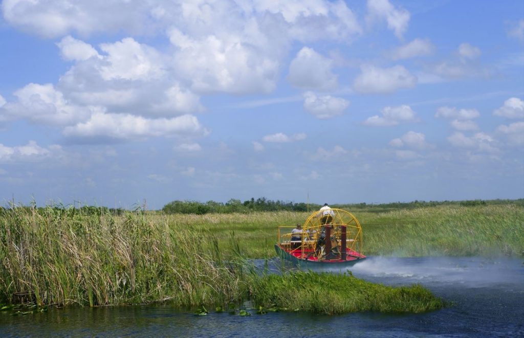 Airboat in Florida speeding through the water. Keep reading to get more Gainesville daytrip ideas.