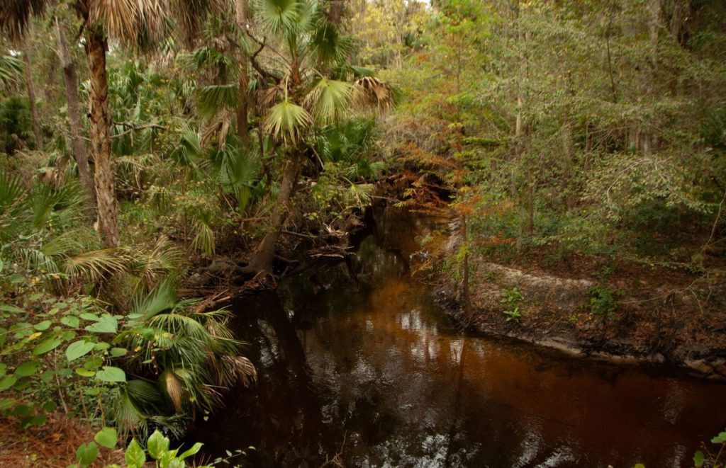 Dickson Azalea Park Orlando, Florida. Keep reading to find out more about Orlando gardens. 