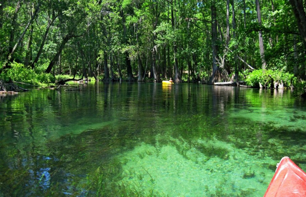 A man tubes in the distance at Ichetucknee Springs near Gainesville, Florida. Keep reading for more places to take a perfect day trip from Orlando, Florida. 