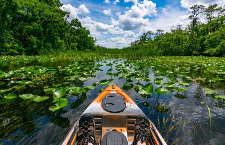 Day Trip from Gainesville: 32 Incredible Places to Visit Less than ...
