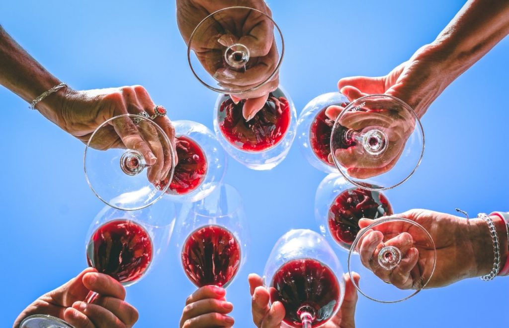 Photo looking up at a group of people with wine glasses gathered together for a cheers. Keep reading to find out more about wine tours in central Florida.