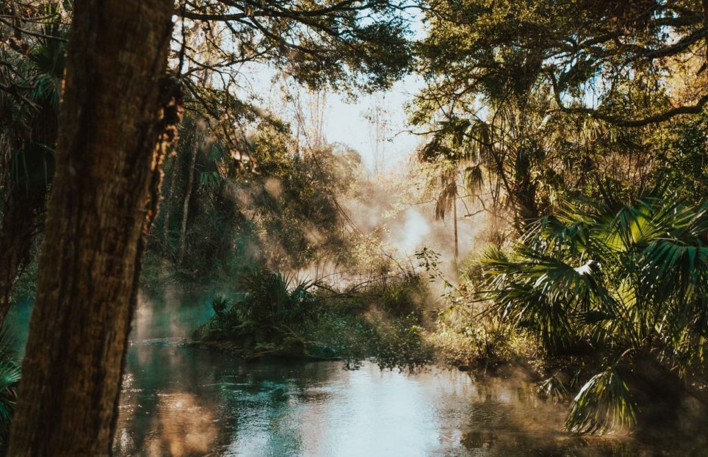 Mist floats over the water at Kelly Park near Orlando, Florida. Keep reading for more places to take a perfect day trip from Orlando, Florida. 