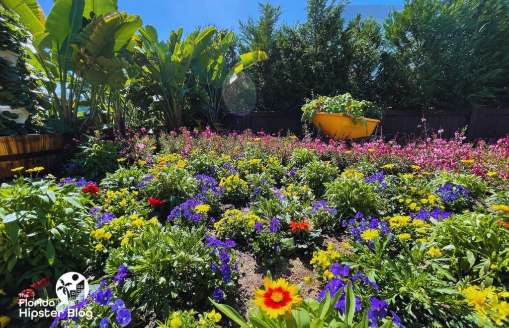 Orlando Gardens Epcot Flower and Garden Festiva