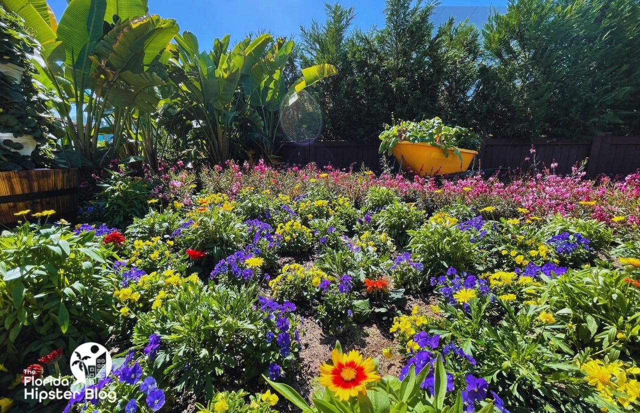 Orlando Gardens Epcot Flower and Garden Festiva